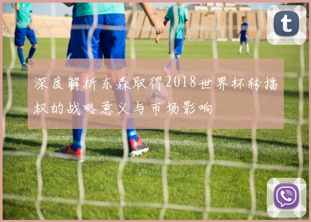 深度解析东森取得2018世界杯转播权的战略意义与市场影响