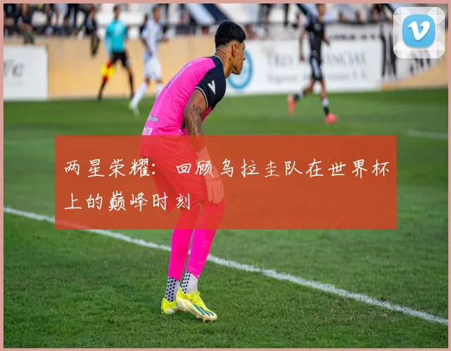 两星荣耀：回顾乌拉圭队在世界杯上的巅峰时刻