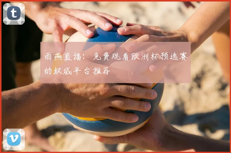 雨燕直播：免费观看欧洲杯预选赛的权威平台推荐