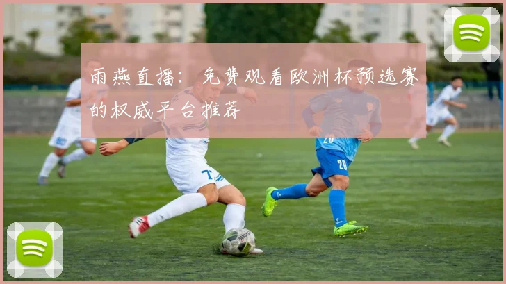 雨燕直播：免费观看欧洲杯预选赛的权威平台推荐